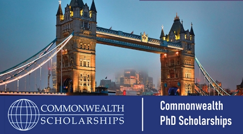University of Pretoria Commonwealth Doctoral Scholarship 2025 - Young