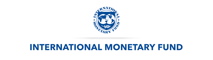 International Monetary Fund (IMF) Internship Program (FIP) 2025 for Young Professionals