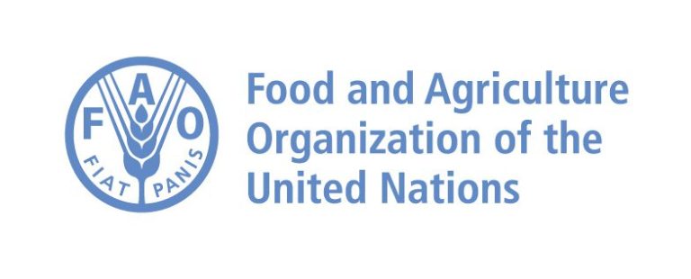 FAO Headquarters (HQ) Internship Programme 2026 for Young Professionals